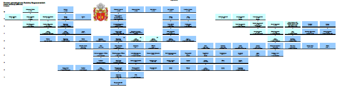 DrzewoGenealogiczneRodzinyBoguszewskich